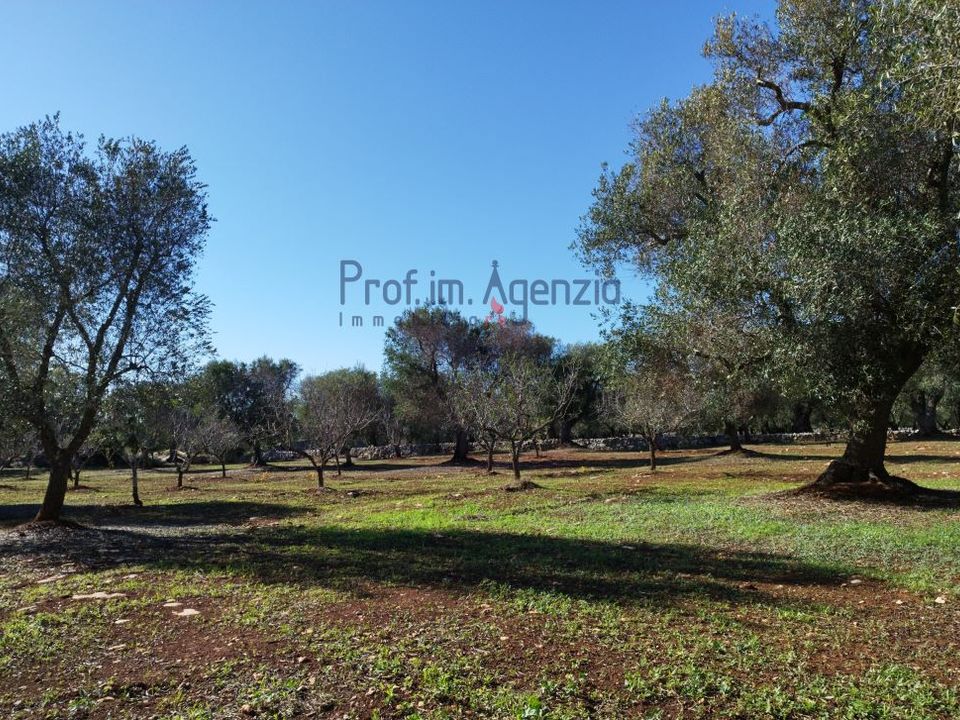 Terreno en Carovigno, Brindisi - foto 5
